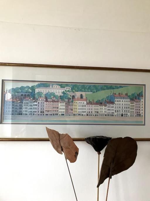リヨンVue Sur L'Eauアパートメント エクステリア 写真
